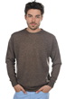 Baby Alpakawolle kaschmir pullover herren nestor alpa hellbraun xs